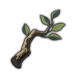Wood Branch