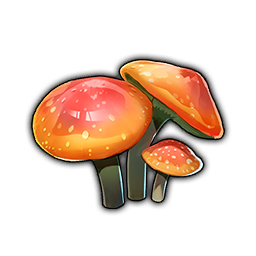 Meadow Mushroom